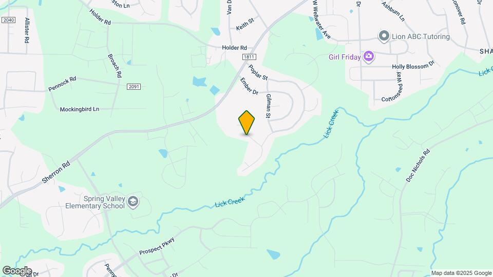 113 Foxborough Ln Map and Location Details