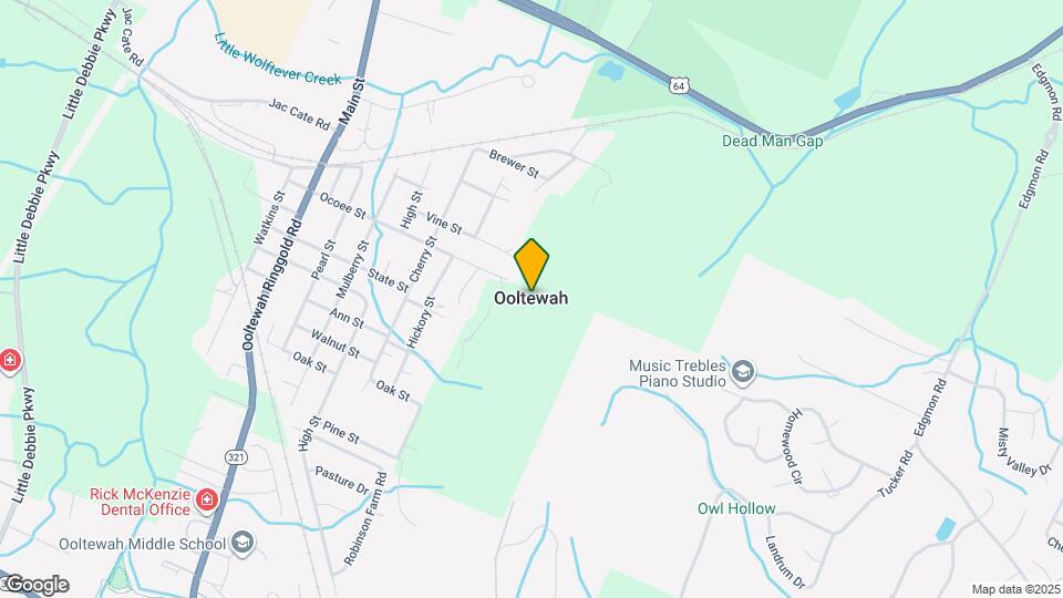 8836 Meadowvale Ct Mapa y Detalles de la Ubicación