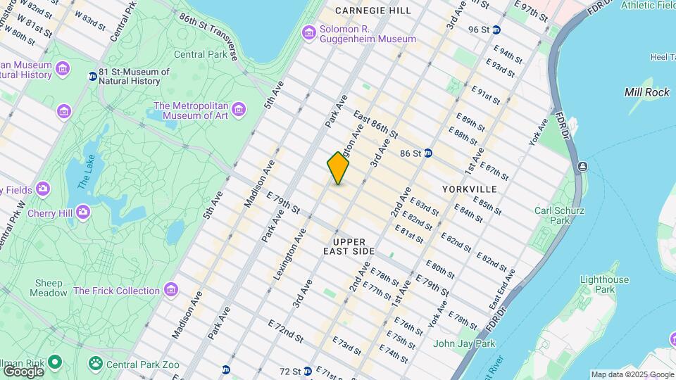 151 E 81ST ST Mapa y Detalles de la Ubicación