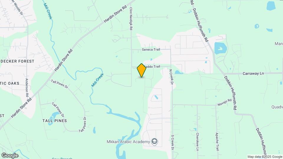 10249 Badger Run Ln Mapa y Detalles de la Ubicación