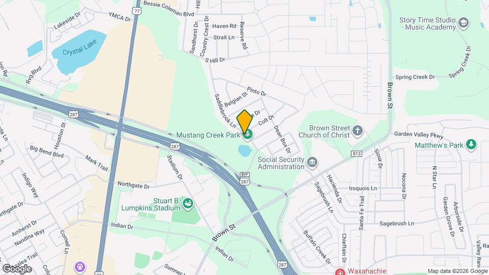 215 Saddlebrook Ln Mapa y Detalles de la Ubicación