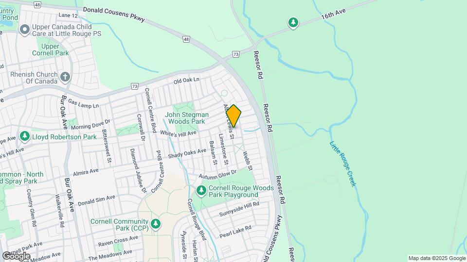 51 Albert Lewis St Map and Location Details