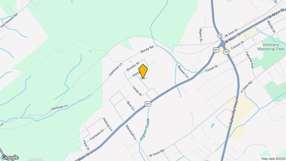 208 Ricker Ave Mapa y Detalles de la Ubicación