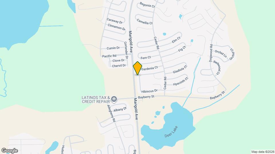 337 Hibiscus Dr Mapa y Detalles de la Ubicación