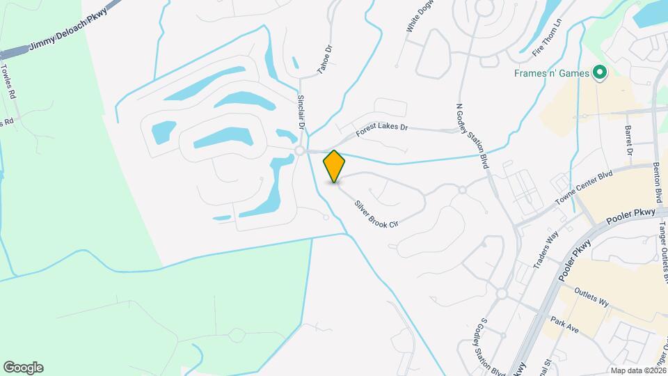 256 Silver Brook Cir Mapa y Detalles de la Ubicación