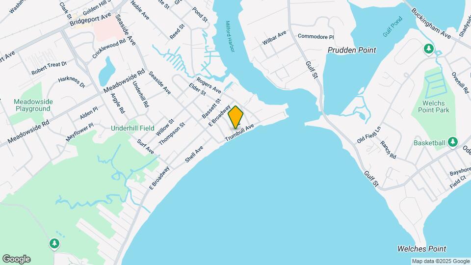 41 Trumbull Ave, Unit Apt 204 Map and Location Details