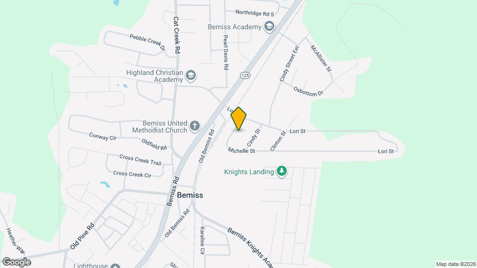 4709 Michelle St Mapa y Detalles de la Ubicación