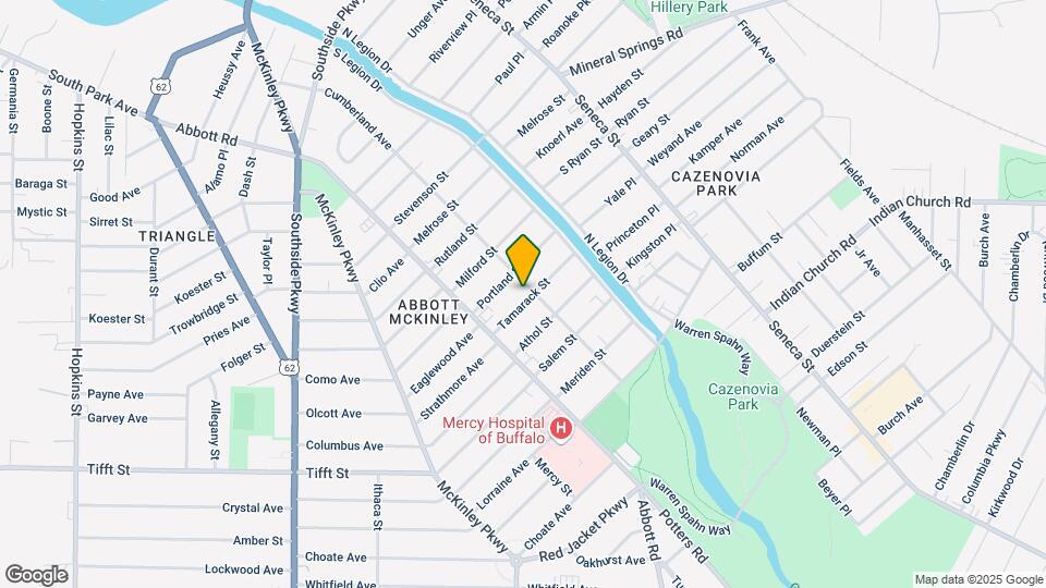 313 Cumberland Ave, Unit South Buffalo lower Map and Location Details