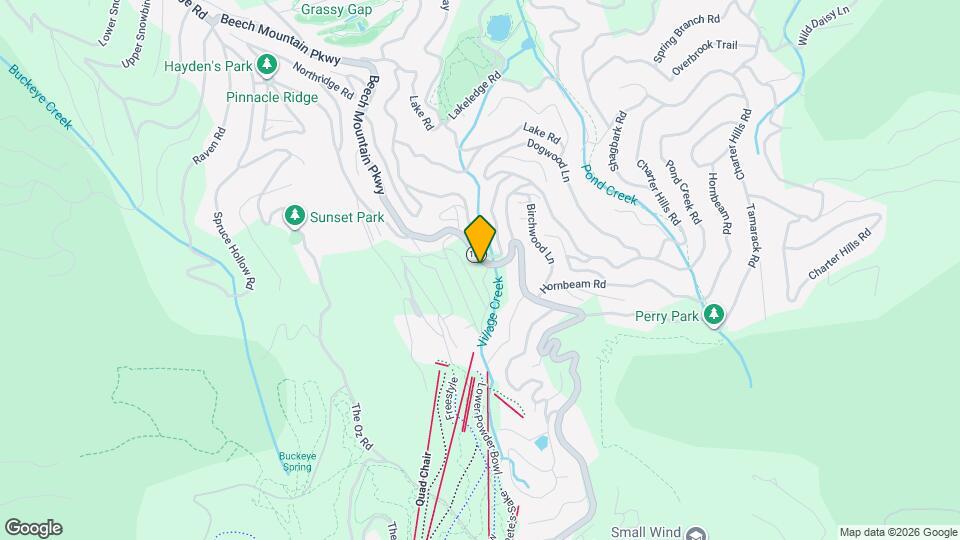 1003 Beech Mountain Pkwy Map and Location Details