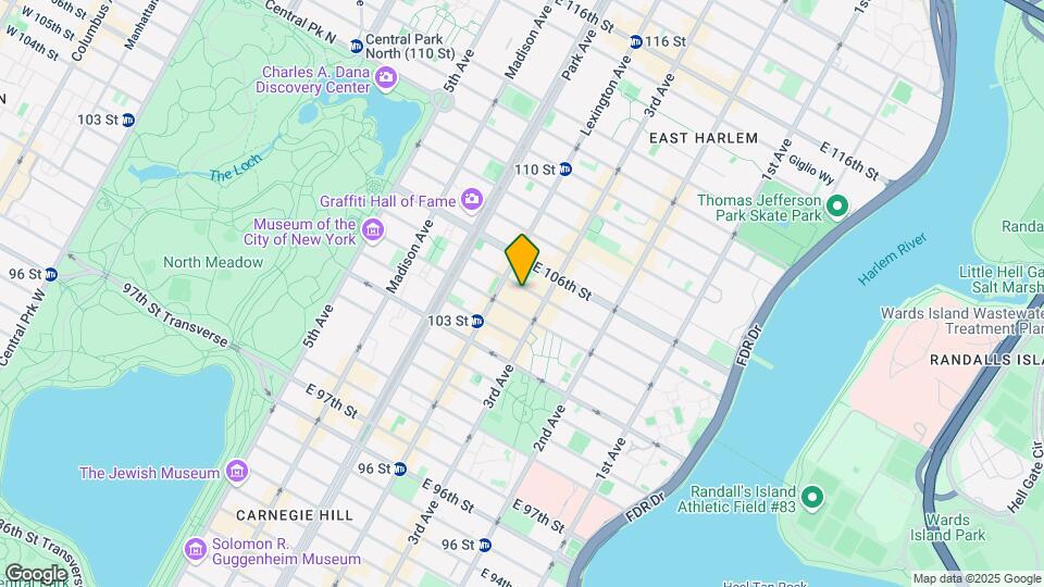 164 E 105th St Mapa y Detalles de la Ubicación